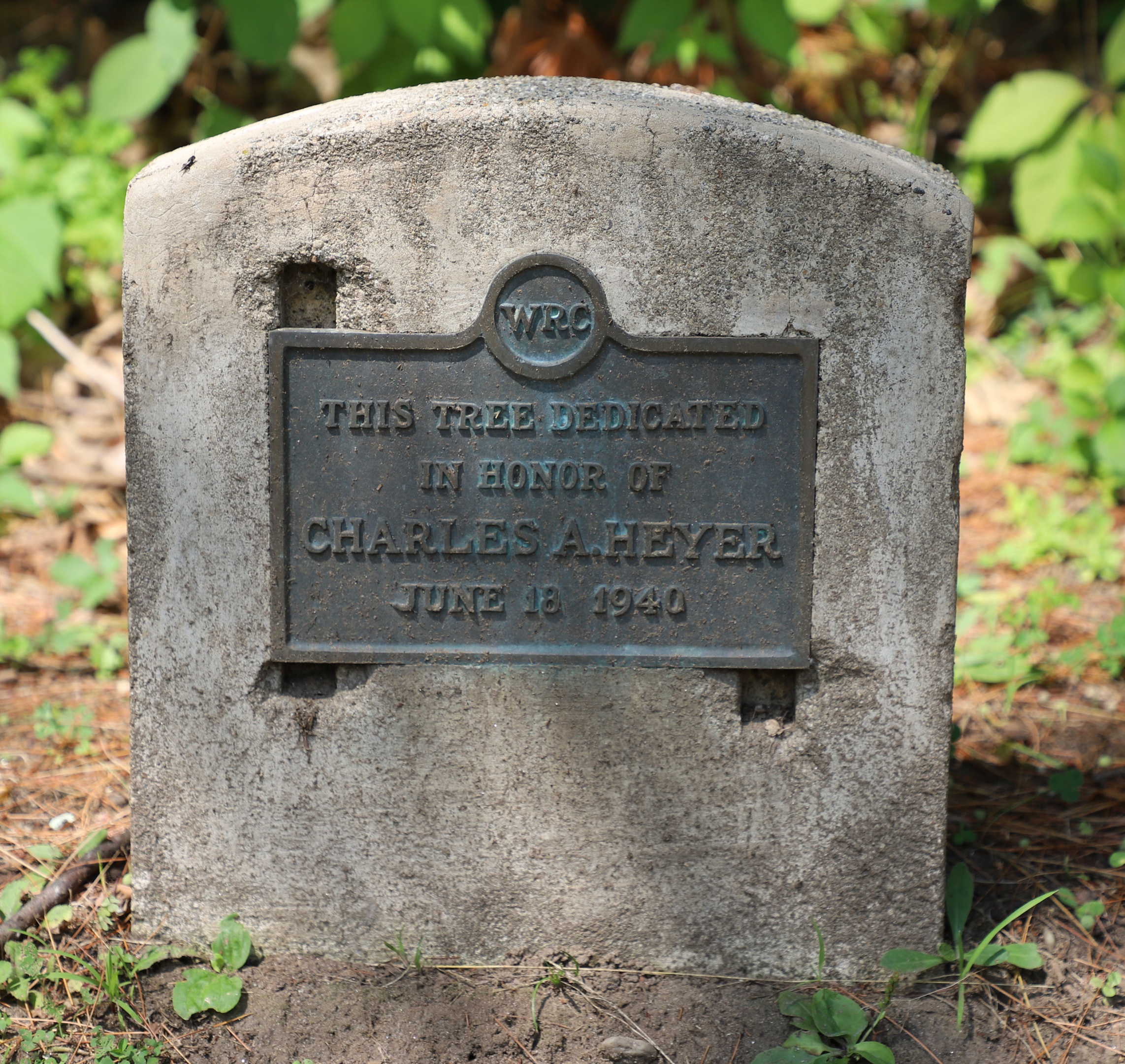 Springfield Vermont Veterans Park Charles A Heyer Memorial Tree
