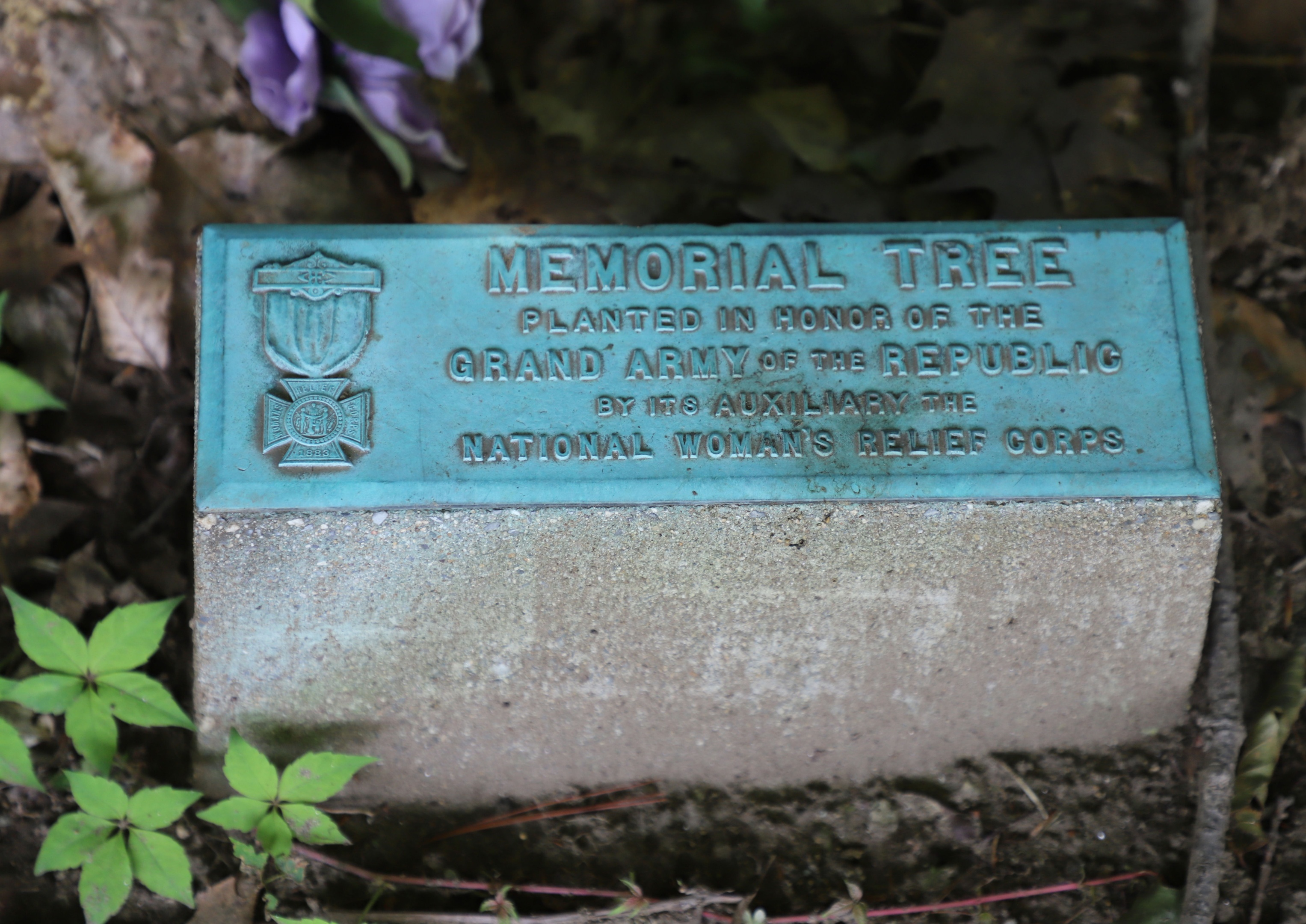 Springfield Vermont Veterans Park GAR Memorial Tree